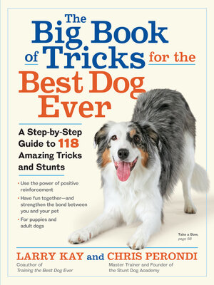 cover image of The Big Book of Tricks for the Best Dog Ever